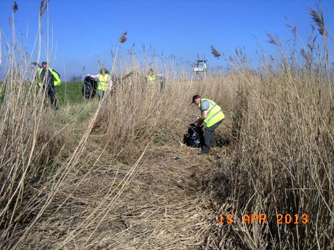 Trent Bank Clean Up (18)