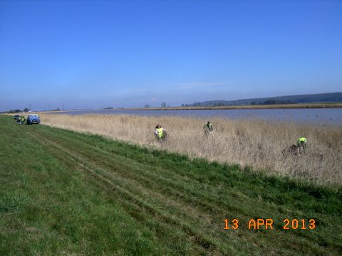 Trent Bank Clean Up (20)